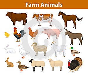 Farm animals collection