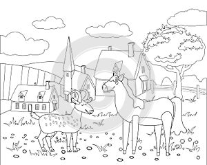 Farm animals coloring book educational illustration for children. Cute goat and horse, rural landscape colouring page
