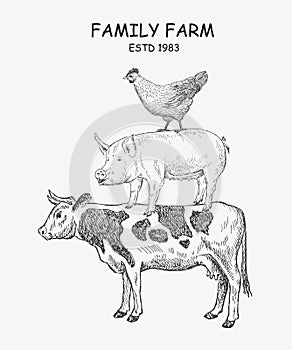 Farm animals Cow, Pig, Chicken. Vector illustration emblem