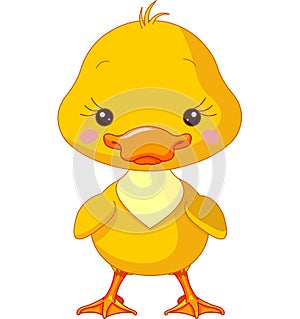 Farm animals. Duck