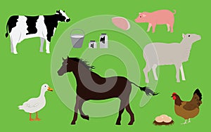 Farm Animals and Farm Products Collection