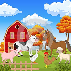 Farm animals in the farming background