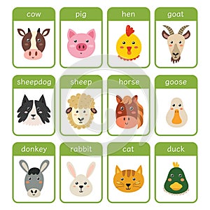 Farm animals flashcards set. Educational flash card with cute farm characters