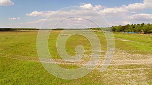 Farm animals grazing on lush green pasture aerial