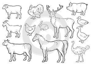 Farm animals icons set. Collection of labels with beautiful such as goat chicken pig boar duck goose horse cow Turkey