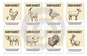 Farm animals labels. Tags for shops of organic food, hand drawn chicken and cow, pig and sheep, turkey and duck