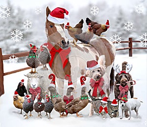 Farm animals and pets standing together dressed for Christmas