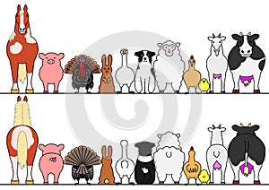 Farm animals in a row, front and back