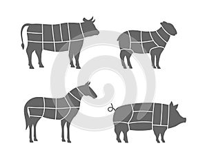 Farm animals scheme cuts. Pig, Horse, Sheep, Cow cuts of meats. Meat cut diagram illustration isolated on white