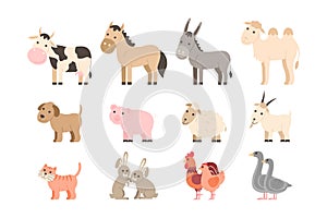 Farm animals set. Cute cartoon pet and domestic animals collection