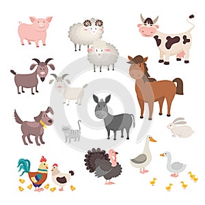 Farm Animals set. Isolated homes animal pig chicken horse dog turkey rabbit cat. Vector illustration