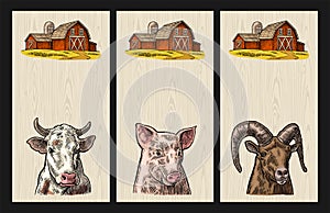 Farm animals set. Pig, cow and goat heads isolated on white background.