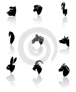 Farm animals set. Vector