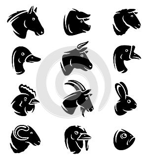 Farm animals set. Vector