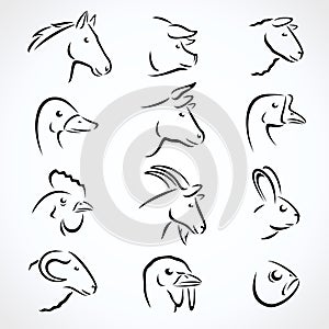 Farm animals set. Vector