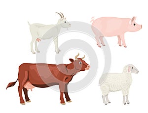 Farm animals set. Vector illustration of a cow, goat, sheep and pig isolated