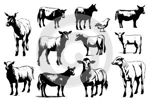 Farm animals. Set of vector sketches on a white background.