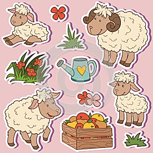 Farm animals set, vector stickers with sheep family