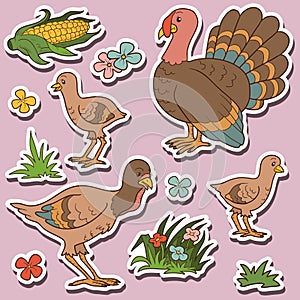 Farm animals set, vector stickers with turkey family