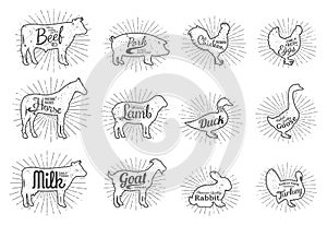 Farm Animals Silhouettes Collection, Butchery Labels Templates