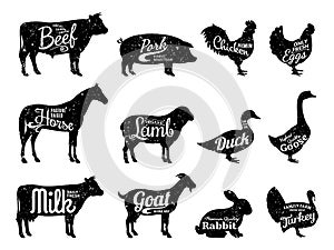 Farm Animals Silhouettes Collection, Butchery Labels Templates photo