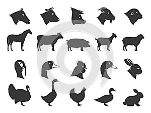 Farm Animals Silhouettes and Icons photo