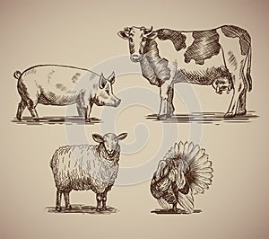 Farm animals in sketch style compilation.