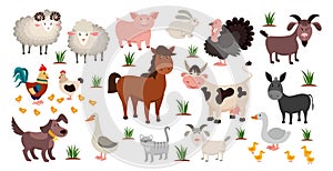 Farm animals. Stock raising concept. Cartoon sheep and goat, horse or cow. Domestic birds with cute chickens. Funny pets