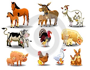 Farm animals and their babies