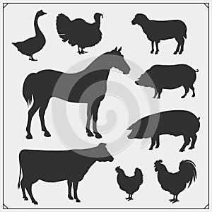 Farm animals vector icons set.