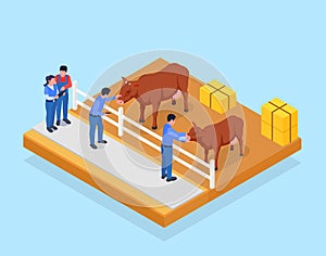 Farm Animals Veterinary Isometric Composition