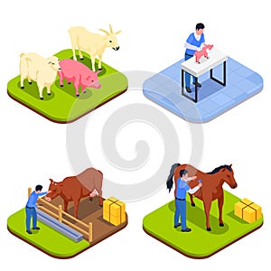 Farm Animals Veterinary Isometric Icon Set