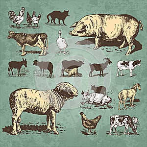 Los animales antiguo colocar ()  