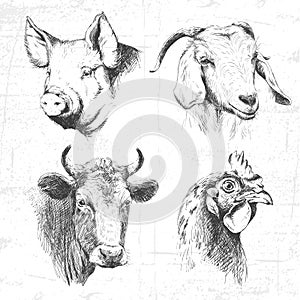 Farm animals vintage set, vector.