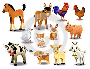 Farm animals on a white background