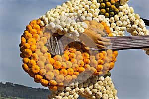 Farm art guitar and guitarist made of small orange, green and white pumpkins close-up