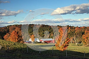 Farm In Autumn