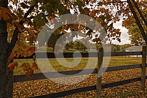 Farm in Autumn