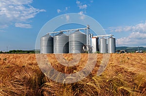 Farm, barley field with grain silos for agriculture