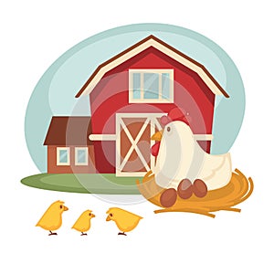 Farm barn or farmer household chicken hatch vector flat design