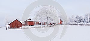 Farm barn and house surrounded by frosty trees