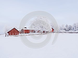 Farm barn and house surrounded by frosty trees