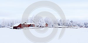 Farm barn and house surrounded by frosty trees