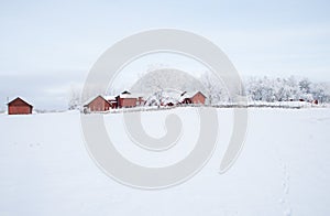 Farm barn and house surrounded by frosty trees