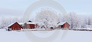 Farm barn and house surrounded by frosty trees