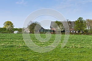 Farm at the Betuwe photo