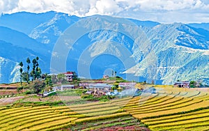 Farm in Bhutan eastern mountains