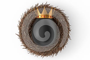 Farm black egg with gold royal king crown in bird nest on white background