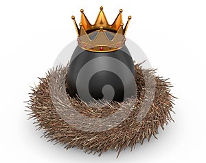 Farm black egg with gold royal king crown in bird nest on white background