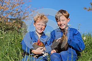 Farm Boys with chickens